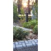 Fortune Lights for Asian Garden - Huge 1 metre tall and dual Power